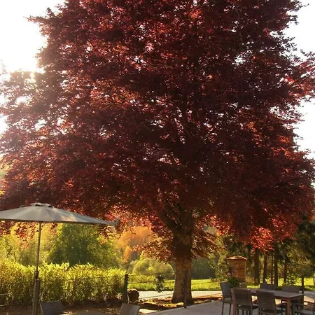Holiday home Hunting Siedlinghausen 1 *