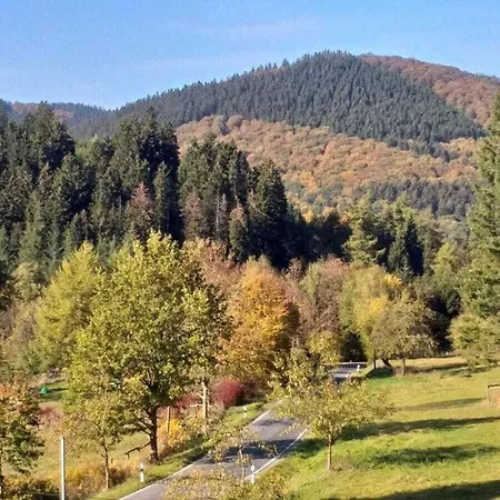 Prázdninový dům Hunting Siedlinghausen 1 Winterberg